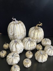 14 Pcs Assorted Fall Artificial Pumpkins – Gold & White Gold Brush White NEW!!