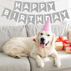 Silver Glitter Happy Birthday Banner Sign for Backdrop