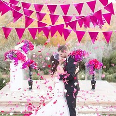 Hot Pink Party Decorations Triangle Pennant Banner Flag Rose