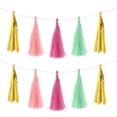 20Pcs Light Pink,Rose Red,Light Green Gold Tassel Garland Banner with Rope