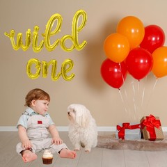 Wild One Cursive Letter Balloons – First Birthday Decorations For A Baby Boy …