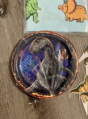 Dinosaur Birthday Party Decorations Lot Banners Table Cover & More