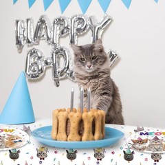 Eco-Friendly 41Pc Cat Theme Party Kit – Plates, Napkins & Tablecloth included