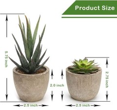 Coitak Artificial Succulent Plants Potted, Assorted Decorative Faux Green