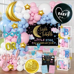 191 Pc Twinkle Twinkle Little Star Gender Reveal Decorations, Boy or Girl | 2…