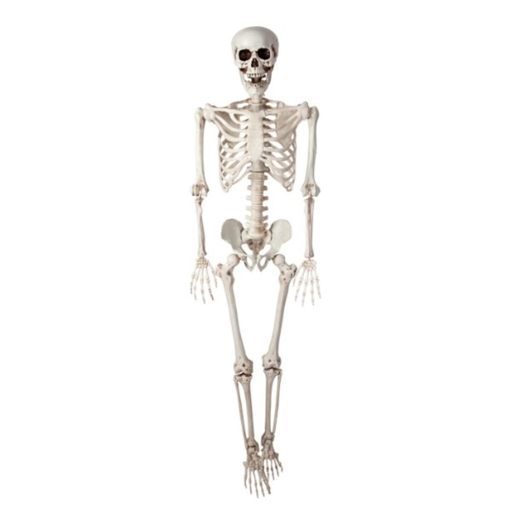 Wicked Costumes – Pose-able Skeleton (90cm) – Party Decoration