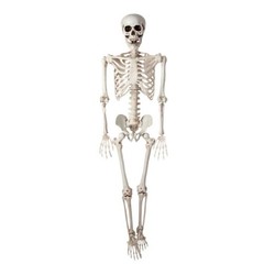 Wicked Costumes – Pose-able Skeleton (90cm) – Party Decoration