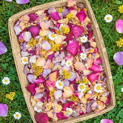 5 QT Dried Flower Petals Biodegradable Wedding Confetti Toss Rose Petals