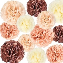 24+1Pcs Party Tissue Paper Pom Poms 6″ to 14″ Decorations