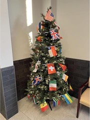 48 Count International Flags Flag Set | Perfect Decoration for World Cup Parties