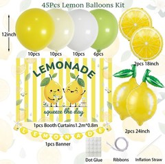 Lemonade Stand Supplies Kit with Lemonade Sign Banner and Lemon Balloons, Lem