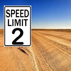 Speed Limit 2 Sign Two Fast Birthday Decor 2 Fast Birthday Decorations Funny …