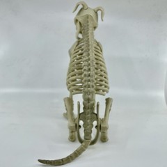 Halloween Dog Skeleton Canine Werewolf Prop Scary Haunted House Decoration 12″