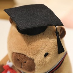 Graduation Capybara Plush Toy Soft Stuffed Animal Congrats Grad Gift