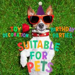 Mini Party Hats for Stuffed Animals Dolls Pets Birthday Cone Hats Assorted Pack