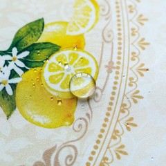 SUTAVIA Lemon Oval Tablecloth with Embroidery Lace Waterproof Table Cloth Elegan