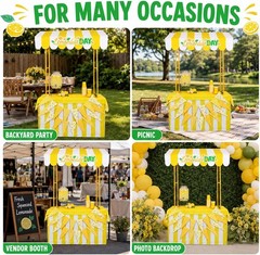 Lemonade Stand Kit Lemonade Stand Supplies Include Lemon Shelf Roof Sign Pennant