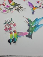 10 Pieces Large Size Hummingbird Window Decals Lot