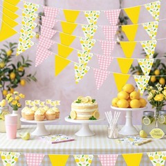 6PCS Lemon Party Decorations Pennant Banners Pink and Yellow Triangle Flags G…