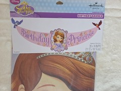 Disney Sofia The First Birthday Party Banner 28 X 74 Inches
