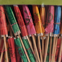 Parasol Picks 144 pcs Colorful Party Luau Tropical Cocktail Oriental Trading Co