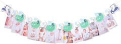 Hole in One First Birthday – Golf 1St Birthday Decorations,Golf 12 Month Photo B
