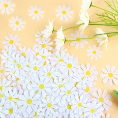 250PCS Daisy Confetti Flower Table Confetti Bridal Baby Shower Decorations En…