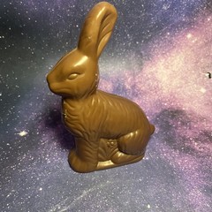 Figural Chocolate Bunny Easter Egg Rabbit Plastic Treat Case Container Animal 4+