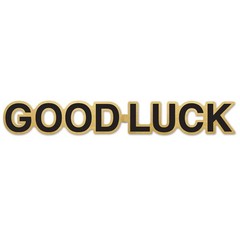 Beistle Good Luck Foil Streamer – General Occasion | Party Supply | Decoration