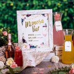 Mimosa Bar Brunch Decoration Kit with Signs, Banners, Labels for Birthday Party