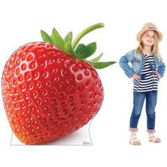 STRAWBERRY Almost 4′ Tall CARDBOARD CUTOUT Standup Standee Poster Food Prop