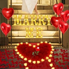 Light Up Marry Me Letters, 24 LED Candles, 2000 Rose Petals, Engagement Decor