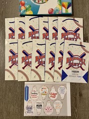 12pc Baseball Gift Party Favor Bags Treat Bags Baseball Loot Party Bags New
