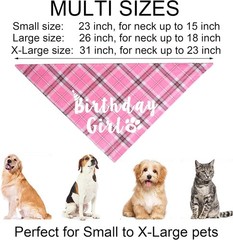 Luxurious Dog Birthday Crown Set – Hat, Bow Tie & Bandana Costume for Large Dogs