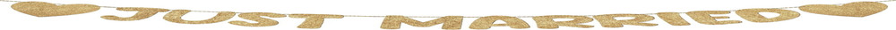 Pre Strung Just Married Banner Glitter Wedding Party Banner No DIY Just Married