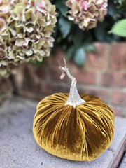 Forest Green Silk Velvet X-LARGE Pumpkin Rustic Farmhouse Wedding…