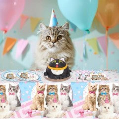 Stylish 41Pcs Cat Birthday Tableware – Perfect for 20 Guests Celebrations