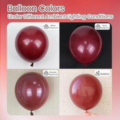 Burgundy Birthday Party Decorations with Happy Birthday Banner Tissue Tassels