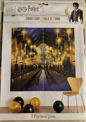 Hogwarts Harry Potter Wizarding World Kids Birthday Party Decoration Backdrop