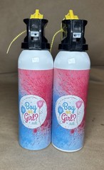 Large Gender Reveal Fire Extinguisher 2 Packs, Gender Reveal Ideas, (Baby Boy)