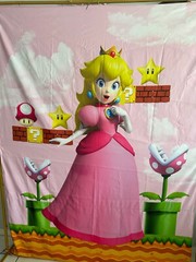 princess peach background party