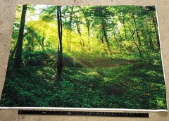 Backdrops Puppet Shows or Dollhouse Miniature Backdrops; 18 different scenes