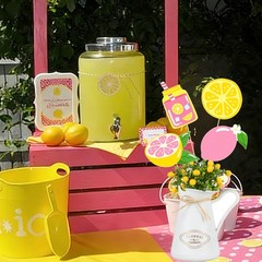 24 PCS Pink Lemonade Centerpieces Sticks Lemon Citrus Table Topper Party Decor