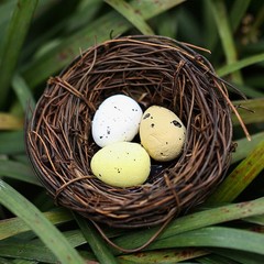 4 Pcs Cozy Woven Bird Nest Egg Design Artificial Nests Artifcial Birds