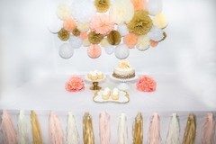 46 Pcs Tissue Paper Pom Poms Tassel Flowers Lanterns Honeycomb Party Decorations