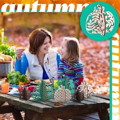 12 Pcs Fall Wooden Table Signs Pumpkin Wood Table Decor Autumn Tiered Tray De…