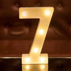 LED Light Up Number Sign Warm White, Battery Operated Birthday Hen Party Decor