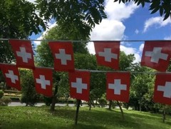 114Pcs Switzerland Flag 150 Feet Switzerland Pennant String Banner Polyester NEW