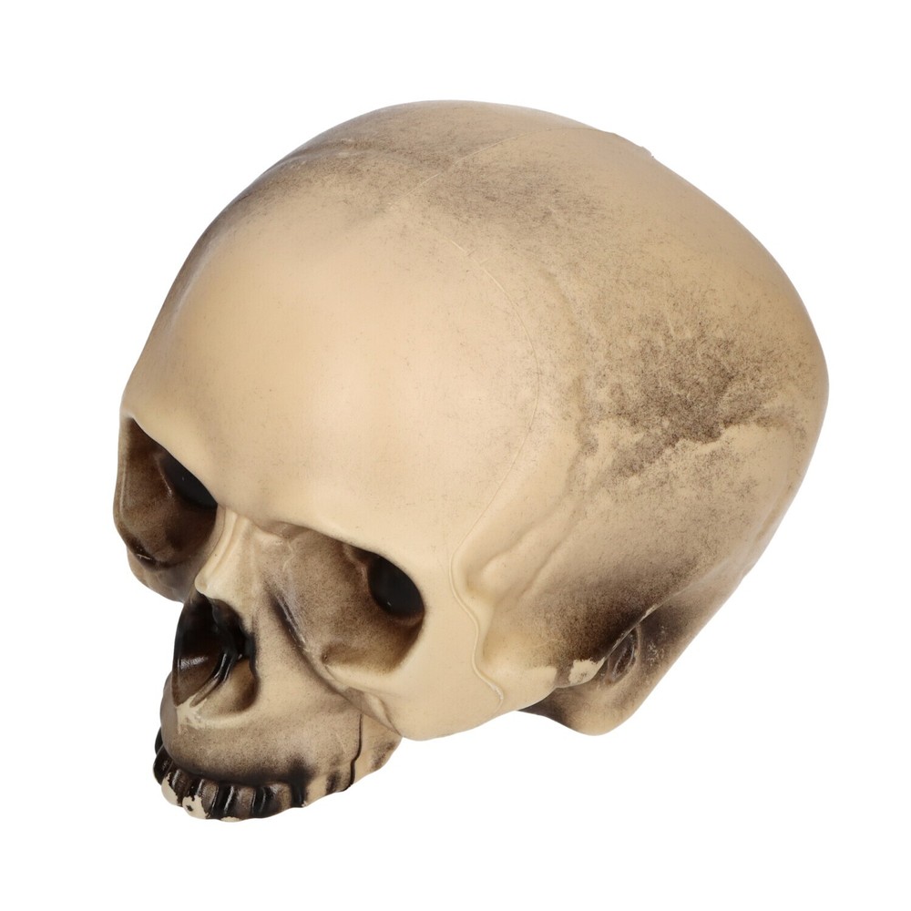 Replica Realistic Human Skull Gothic Halloween Decoration Prop 20cm JAWLESS