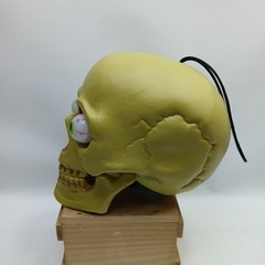 SKULL HEAD LIGHT UP EYES Halloween Prop Skeleton Tested, Eyes Change Colors